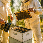 Single Hive (8-Frame)