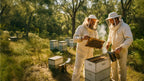 Raw Bush Honey